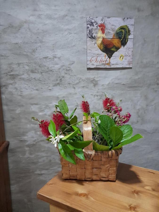 مبيت وإفطار Pinhão Casa Dona Eufemia المظهر الخارجي الصورة
